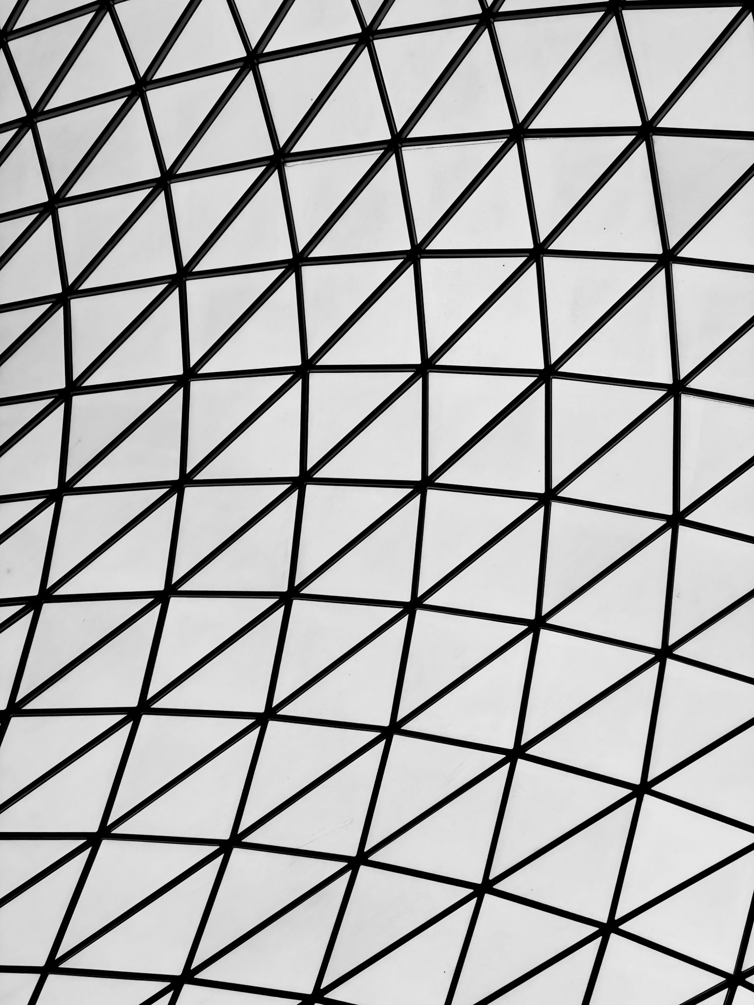 Geometric structure of a glass roof, in black and white.